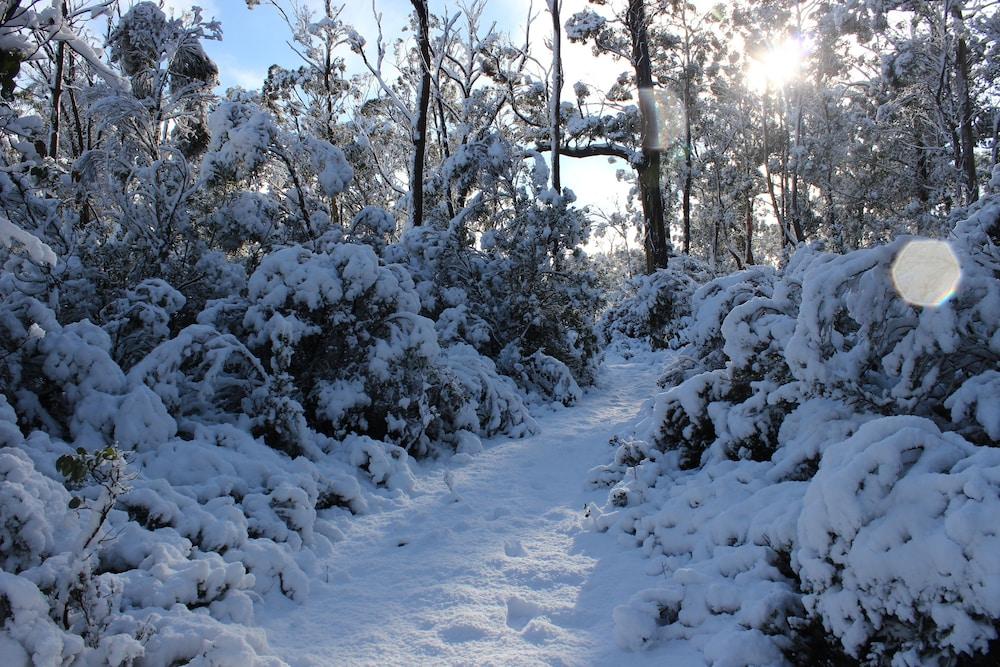 Cradle Mountain Hotel Bagian luar foto